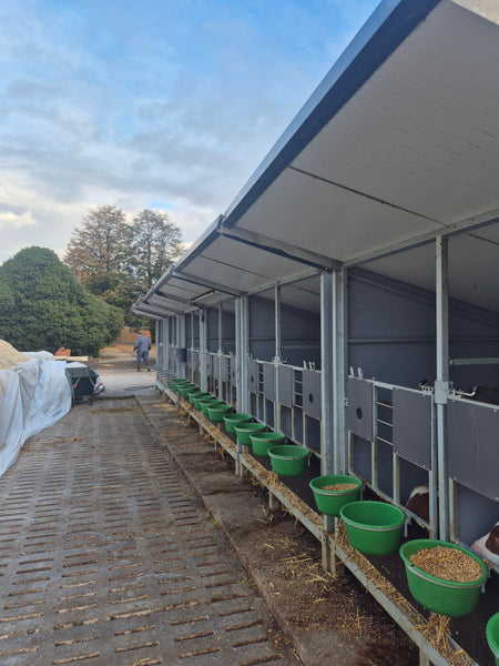 Goede ervaringen met AB-hokken in Ertvelde