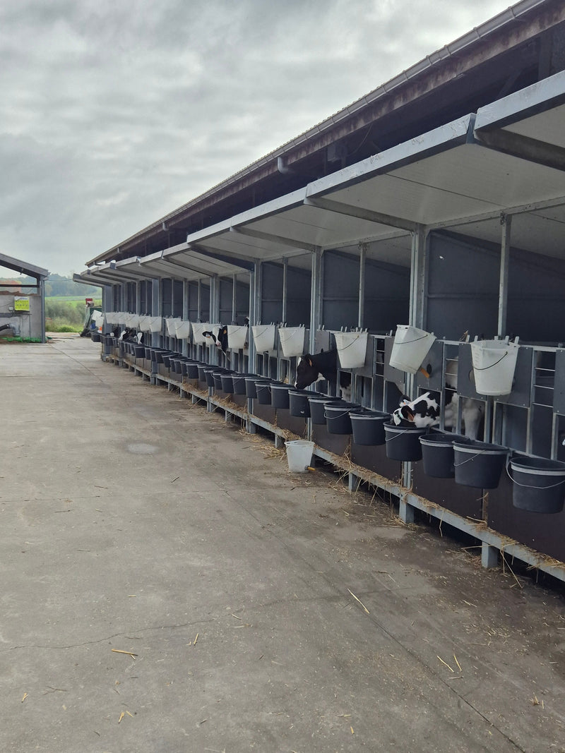 Tevreden klant in Denderwindeke