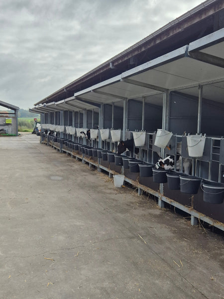 Tevreden klant in Denderwindeke