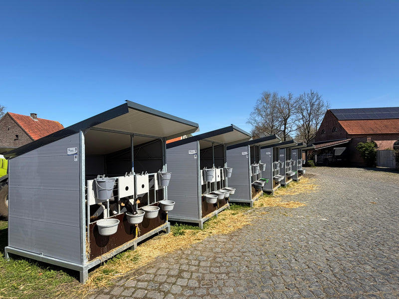 Van S naar XL kalverhokken bij melkveebedrijf Van Loock