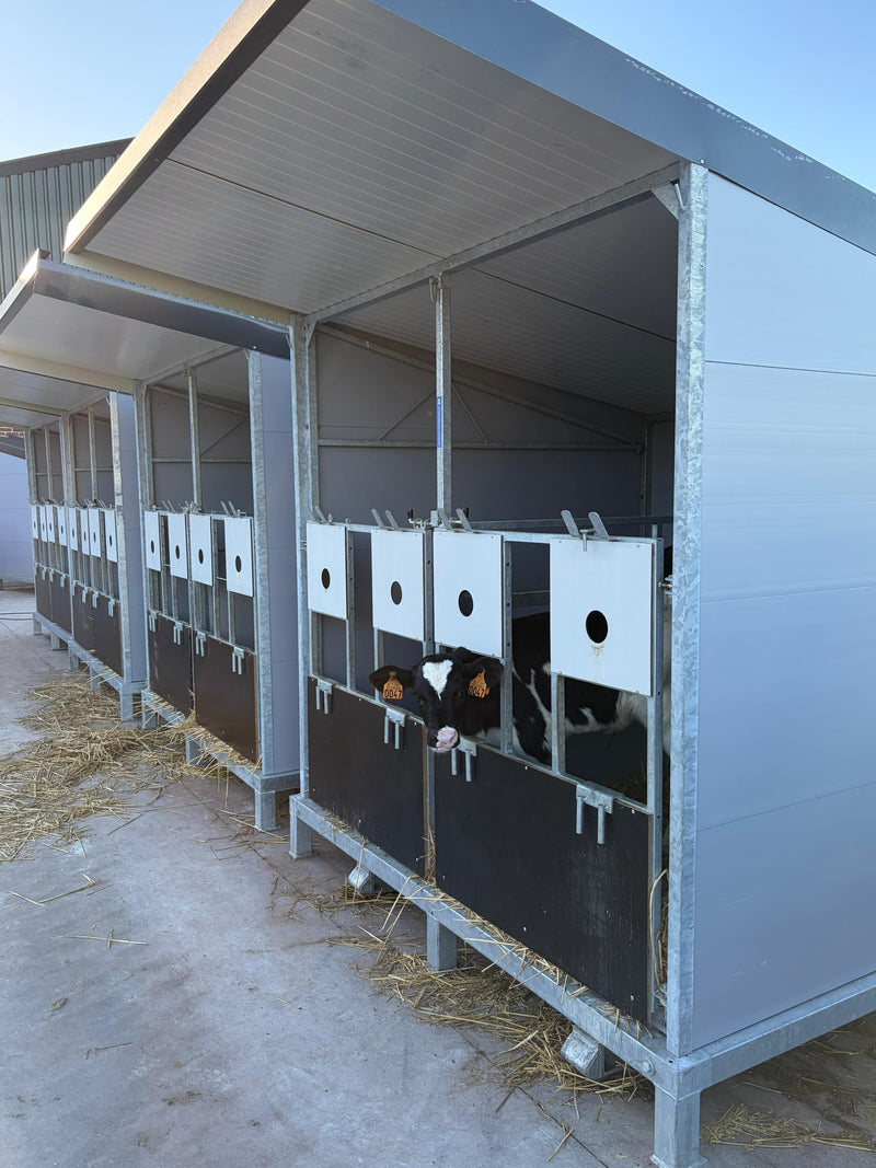 Hydraulische klem en kalverhokken maken het verschil in Hasselt