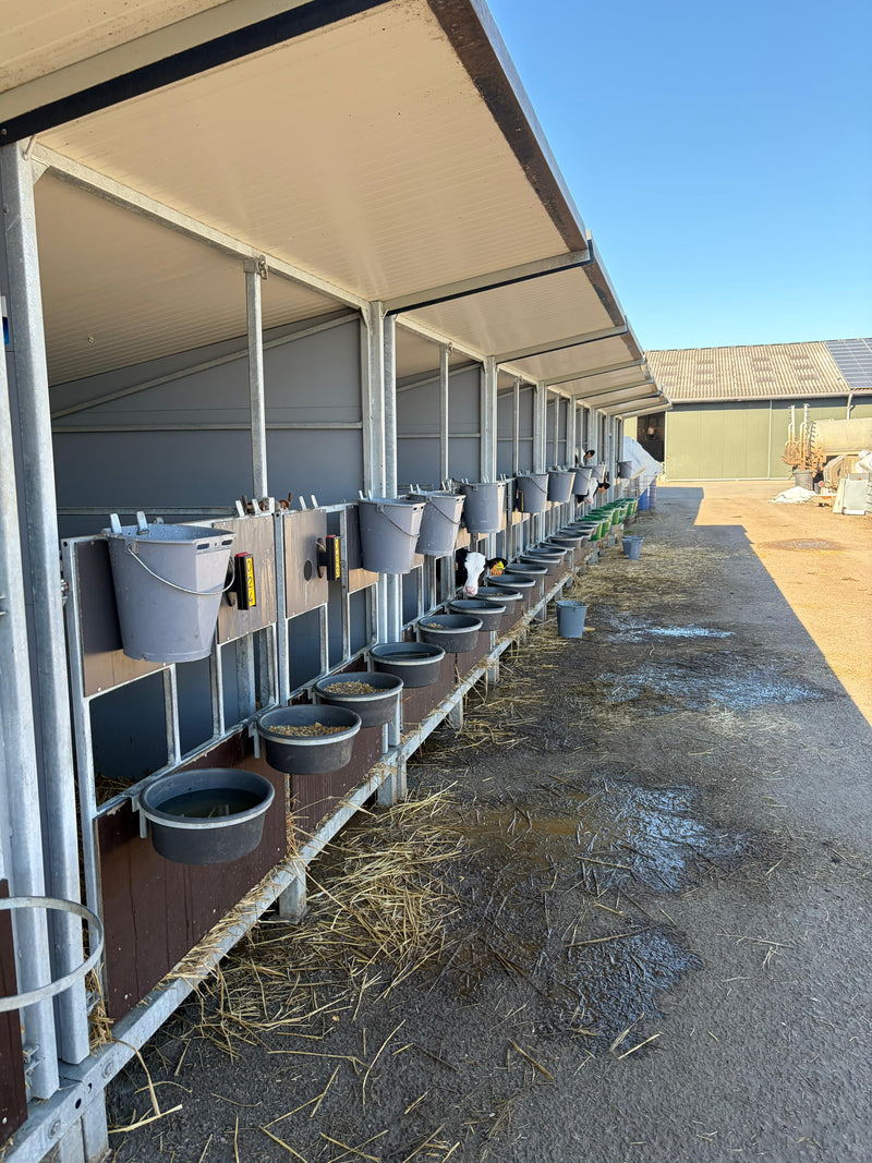 Uitbreidingsproject in Peer België