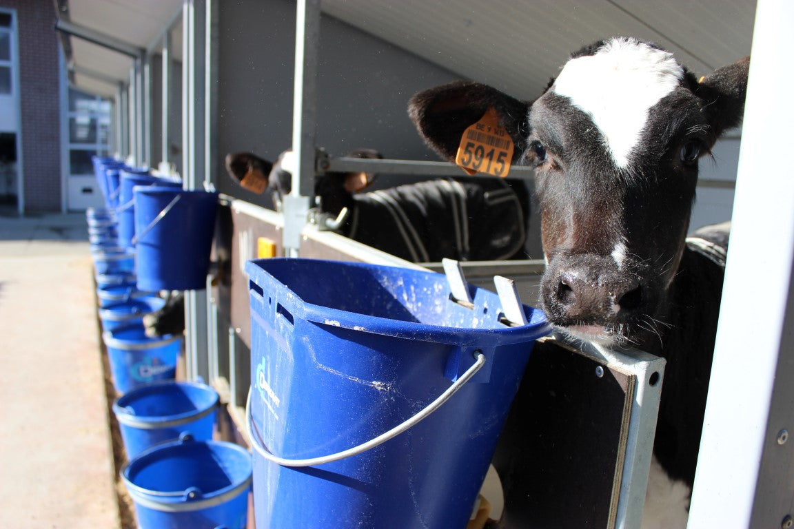 Translation missing: nl.contact.hero_image_alt